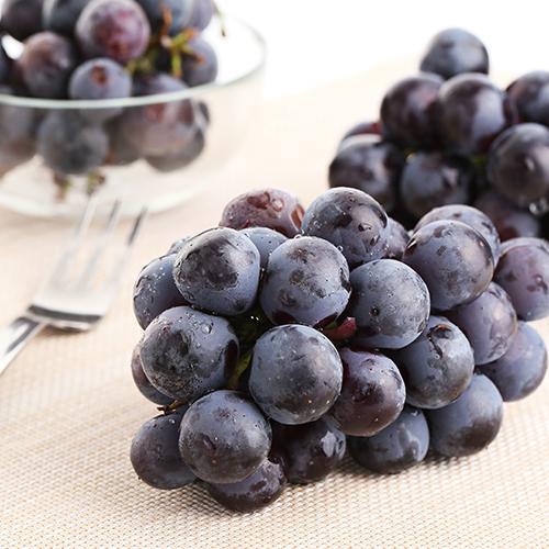 [Direct Delivery from the Place of Origin] Summer Black Grapes Are Freshly Picked in Season, Sweet and Sour, Non-Kaffeng Grapes Are Shipped in One Piece