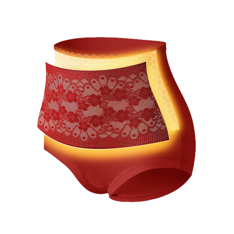 Autumn and Winter fleece-lined Thickened Belly Protection High Waist Warm Belly Tinter Panties Women's Mulberry Silk Bacteriostatic Hip-lifting Warm Belly Briefs Women