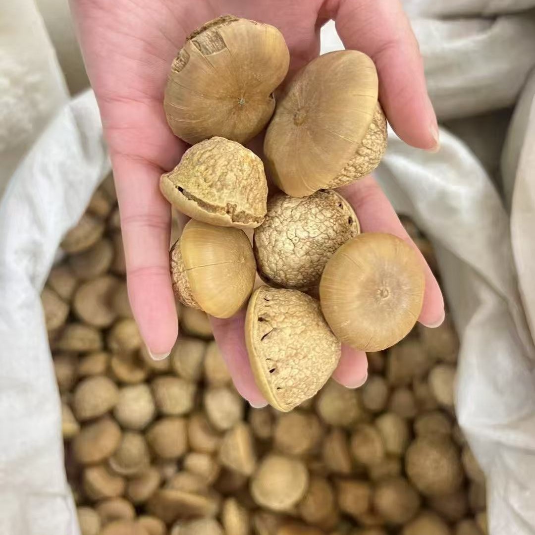 Wholesale Turtle Head, Tianzhu Seeds, Turtle Head, Fengliu Fruit, New Arrivals, Street Stall Supply, Soaked in Wine and Powdered