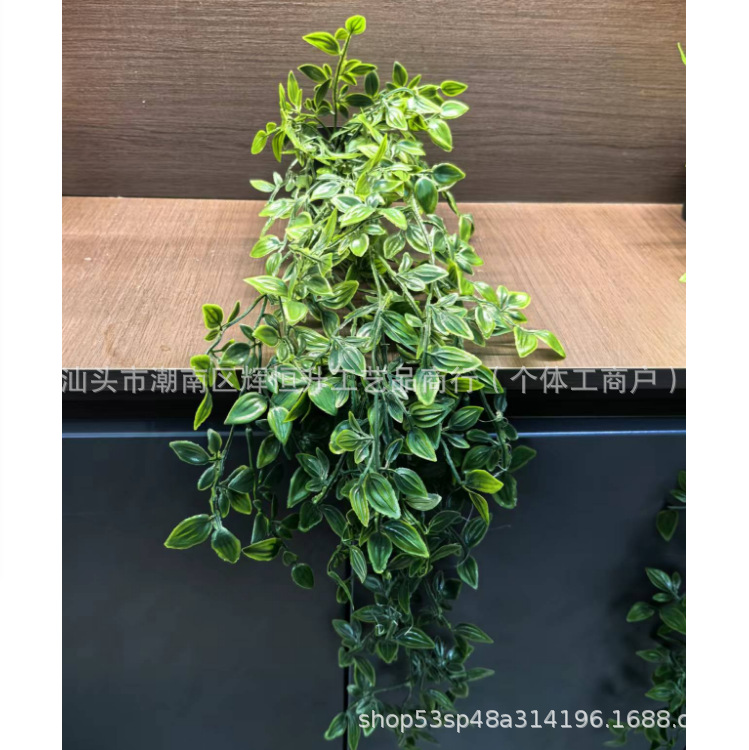 Cross-border Hanging Simulation Mandala Green Plant Potted Plant Combination suit Indoor Home Decorations Frosted Black Potted Plant