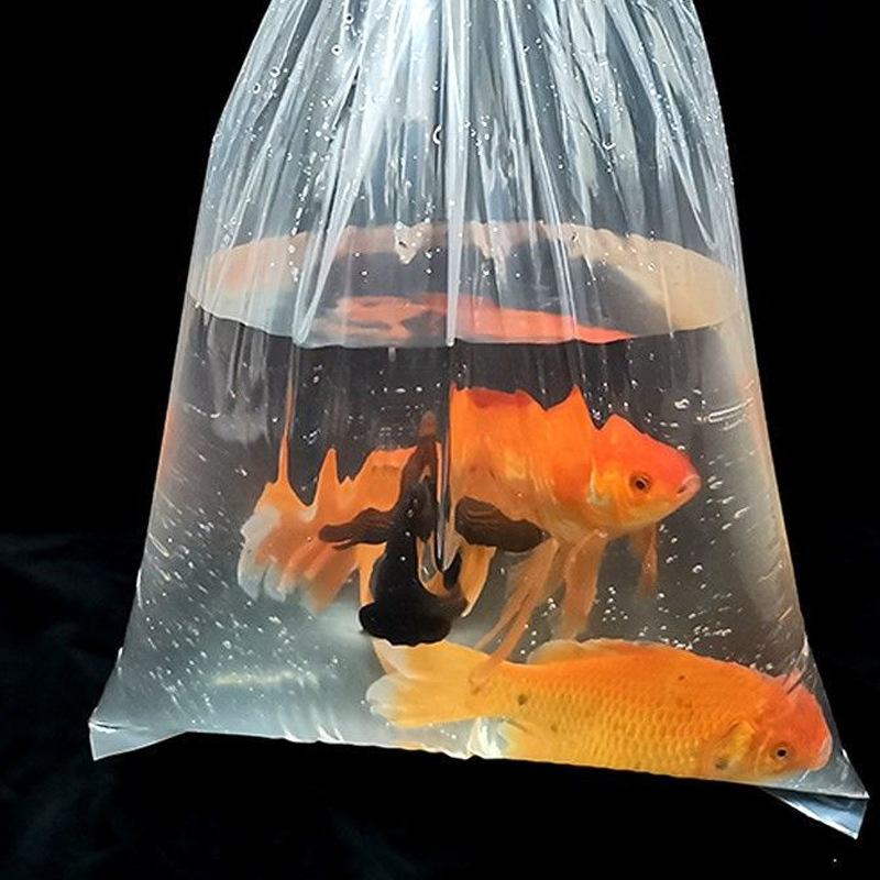 Cross-Border Ornamental Fish Live Fish Packaging Bags for Transportation, Thickened Aquarium Packaging Plastic Bags, Fish Fry Flat Mouth Square Bottom Bags Wholesale