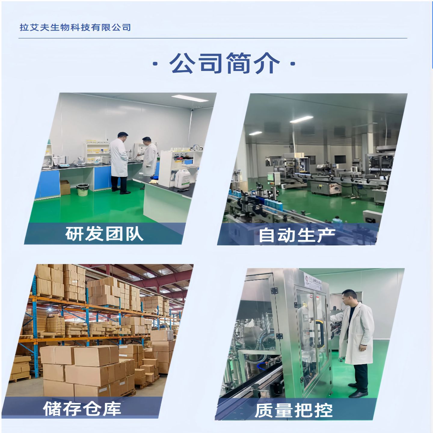 Household Hotel Fresh Aloe Vera Cleaning Antibacterial Hand Sanitizer Press Bottle Mild Foam Antibacterial Hand Sanitizer Whole Box Wholesale