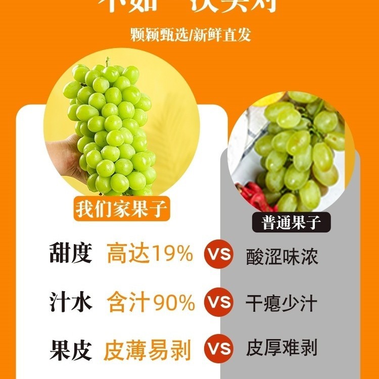 Hot Selling Spot Sunshine Rose Grape Fresh Fruit 2.5kg Gift Box Qingwang Seedless Fragrant Seal Green Ti Seasonal Whole Box