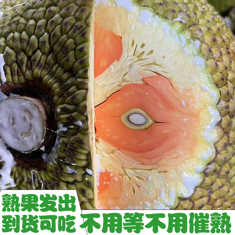 Fresh Fruit Indonesian Red-Fleshed Jackfruit Whole with Free Shipping 6-10kg Whole Box of Ripe Fruit Ready to Eat Upon Arrival