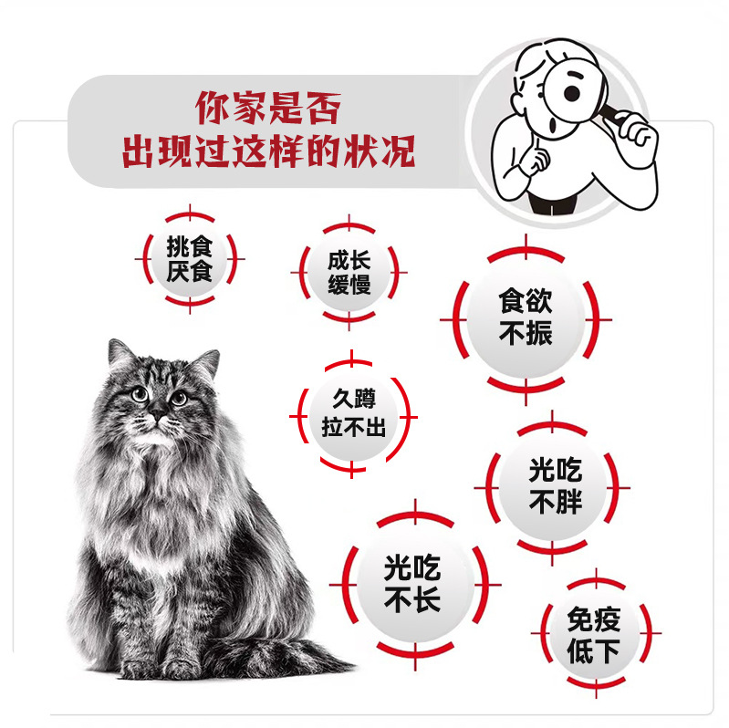 Nutritional Supplements for Dogs and Cats from Biaofei Baogou Farm, Wholesale and Distribution from the Factory