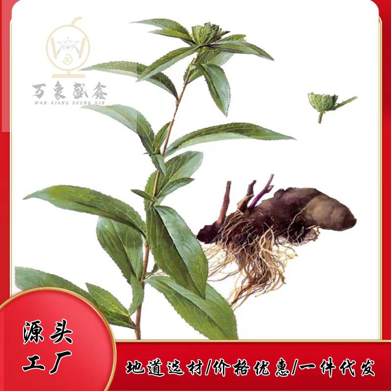 Актрактилодес, актрактилодес, выращенный в полях района Циньба, без серы и моли, полностью сухое происхождение, первичный поставщик, оптовая продажа