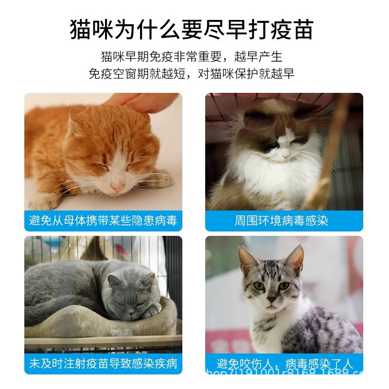 Keqian Keseyou Cat Triple Canine Distemper and Small Kitten Special Epidemic Prevention Rabies Vaccine Pet Rabies Vaccine