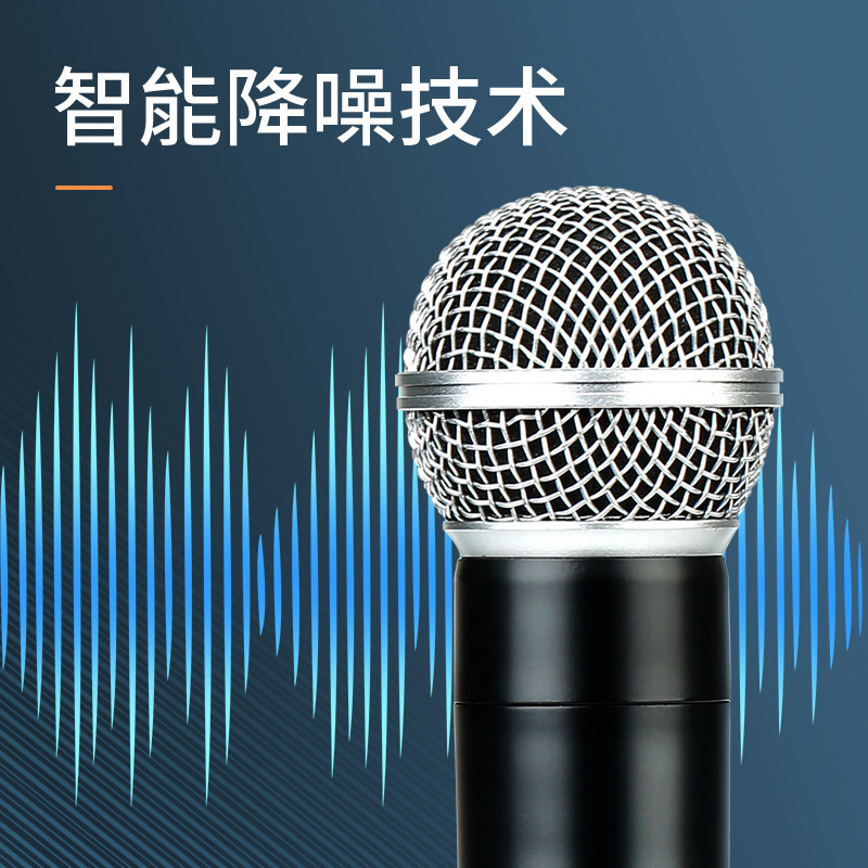 Dynamic Handheld Microphone One-to-Two Home Computer Karaoke Song Conference Stage Performance Professional Wireless Microphone