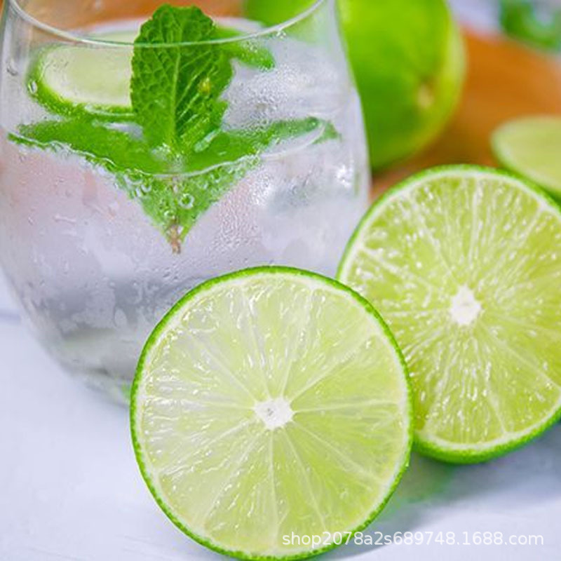 Thai Variety Tahitian Seedless Green Lemon Fresh Fruit Commercial Small Lime Milk Tea Shop Special Green Wholesale
