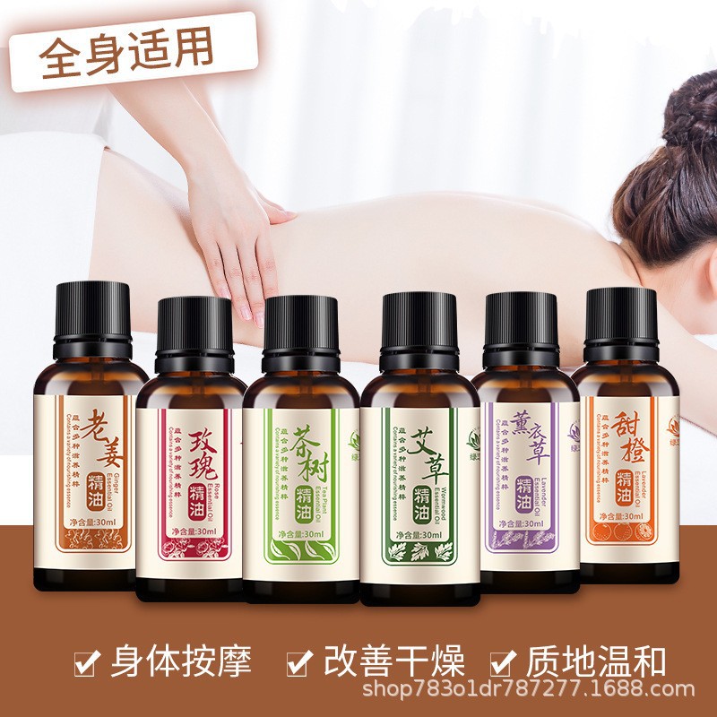 Mugwort Essential Oil 10ml Plant Herbal Moisturizing Massage Open Back Shoulder and Neck Conditioning Soothing Body Massage Essential Oil Wholesale