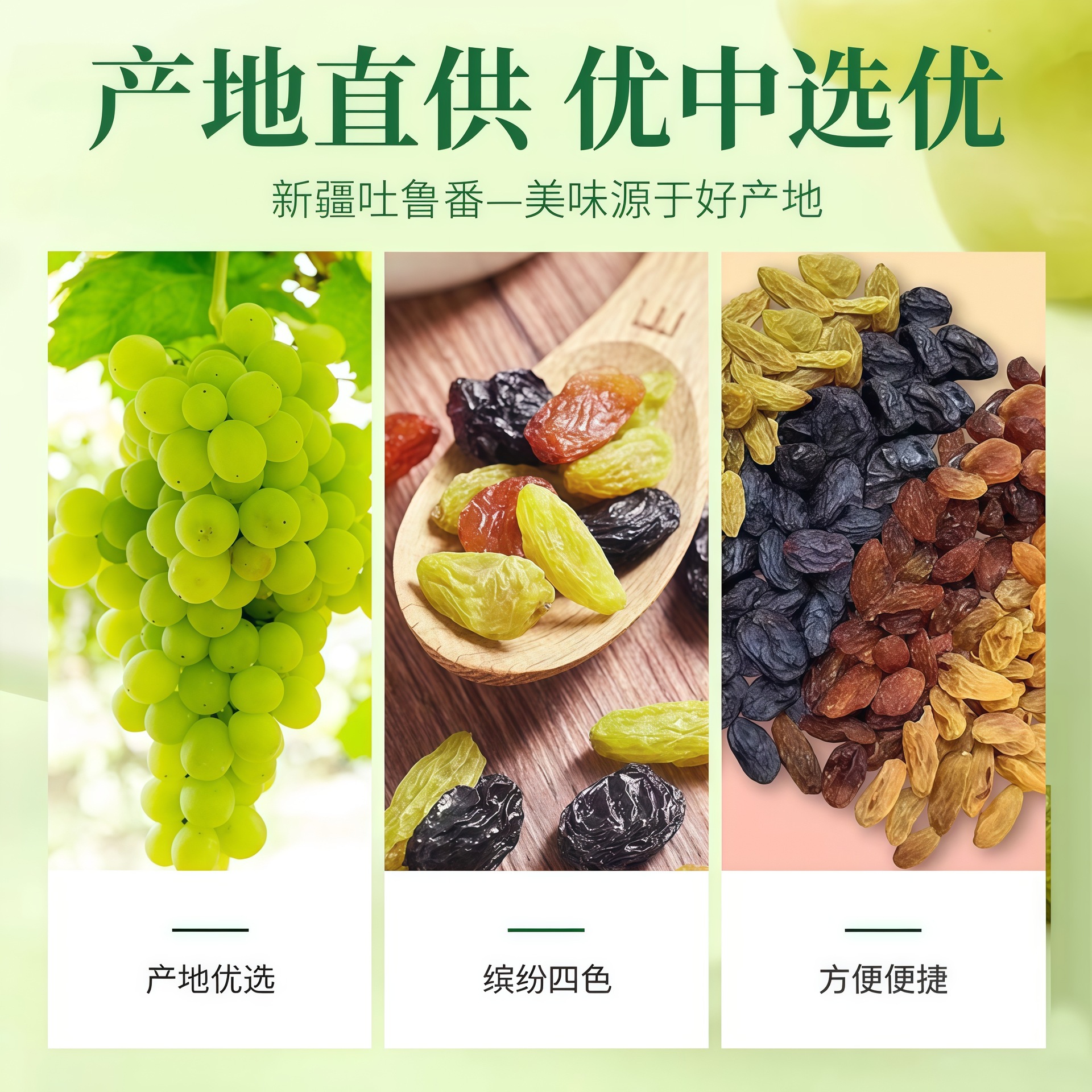 [Xinbao_Four Colors Raisins] Xinjiang Raisins Commercial Bulk 2.5kg No Additives Dried Fruit Preserved Fruit