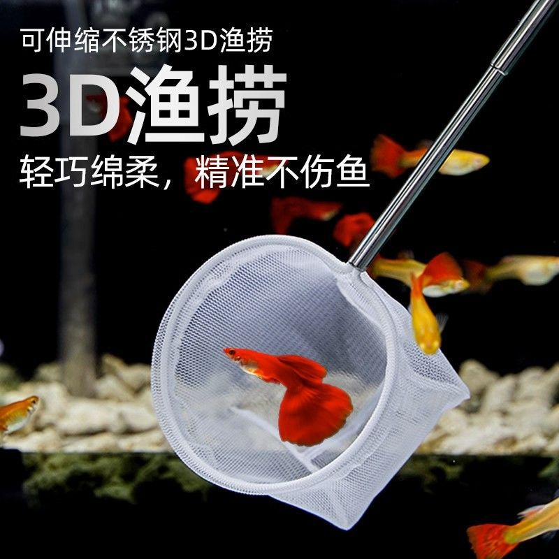 Fish fishing net fish tank net fishing small fish small size 3D fishing net pocket dense net hand fishing net fishing retractable