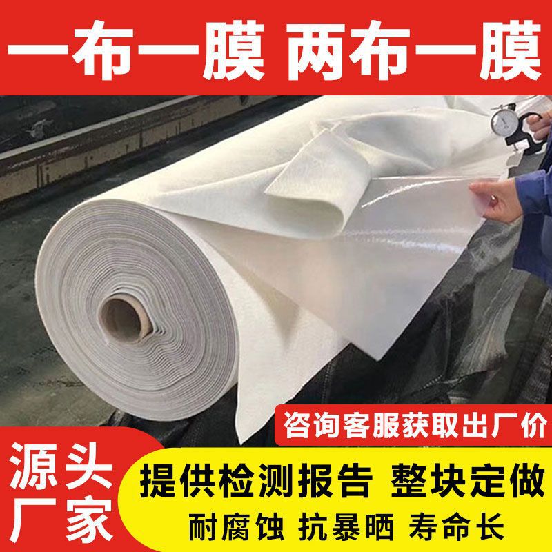 Composite Geomembrane Anti-Seepage and Moisture-Proof Reservoir Fish Pond Waterproof Slope Protection Special Hdpe Two Cloth One Film One Cloth One Film