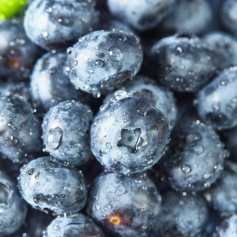 Fresh Blueberries in Stock, Freshly Picked, Ready-To-Eat Baby Food Supplement Boxes, Factory Wholesale