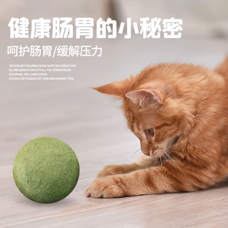 Catnip Ball Toy Cat Large 10 ㎝ Catnip Insect Gall Fruit Ball Molar Oral Cleaning Pet Snacks