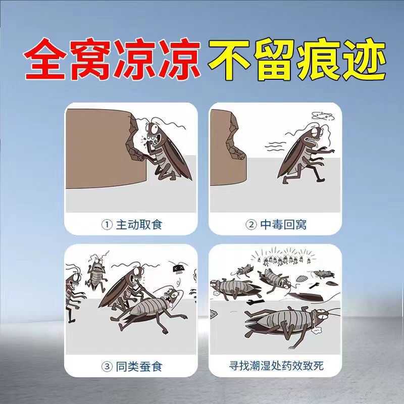 Boric Acid Potato Puree Powder Restaurant Hotel Cockroach Medicine Borax Household Non-Toxic All-In-One Kitchen Special Cockroach Killer