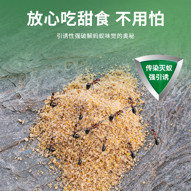 Foreign Trade Wholesale Ant Medicine 8G/Bag Factory Direct Sales English Export Ant Killing Indoor Ant Bait