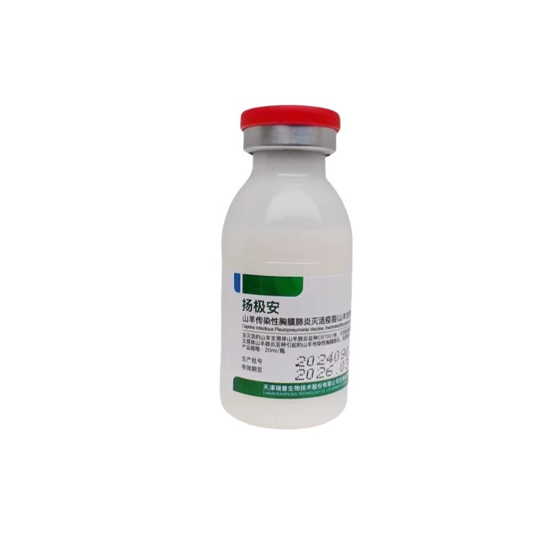 Yangji Anrui Pu Sheep Contagious Bursal Disease Inactivated Vaccine Sheep Vaccine Sheep Contagious Bursal Disease Vaccine Veterinary Medicine Sheep Medicine 20ml