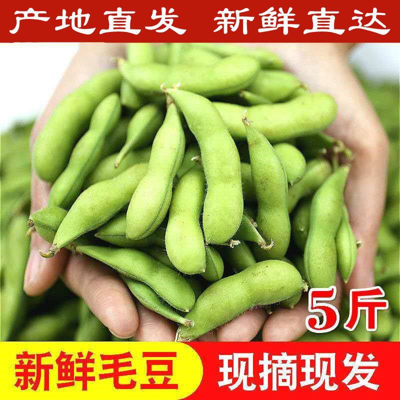 [Прямые поставки с места производства] Свежие эдамаме в стручках, сырые зеленые бобы, сезонные овощи