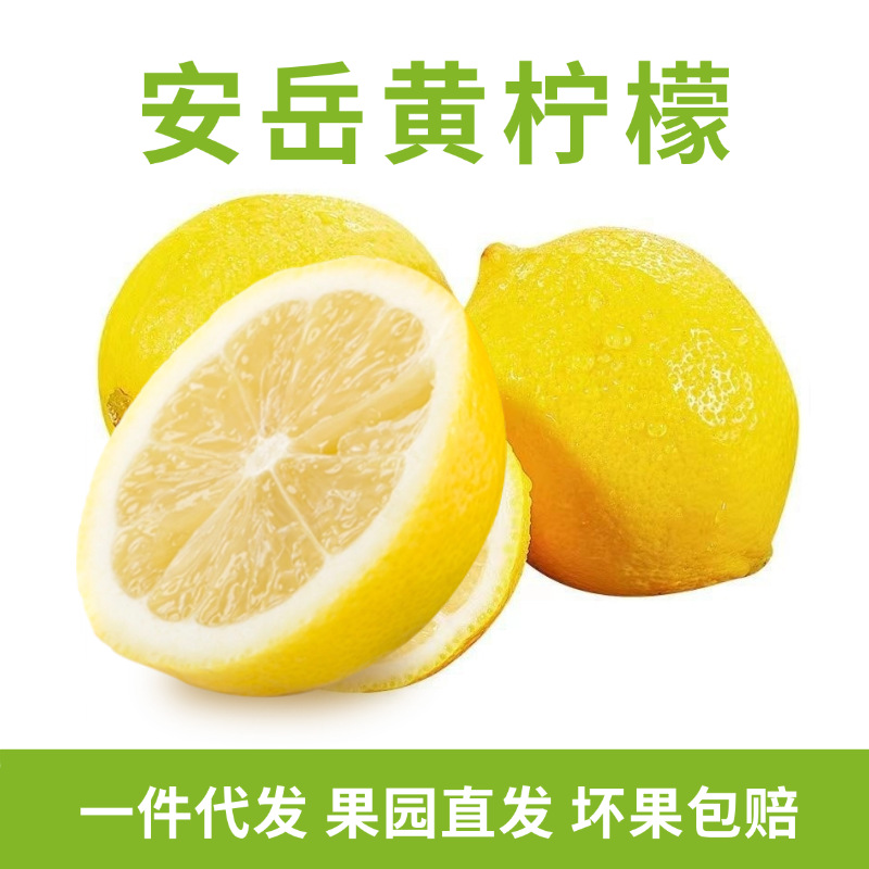 Sichuan Anyue Yellow Lemon Fresh Lemon Wholesale Milk Tea Shop Lemon Fresh Seasonal Fruit Whole Box Wholesale