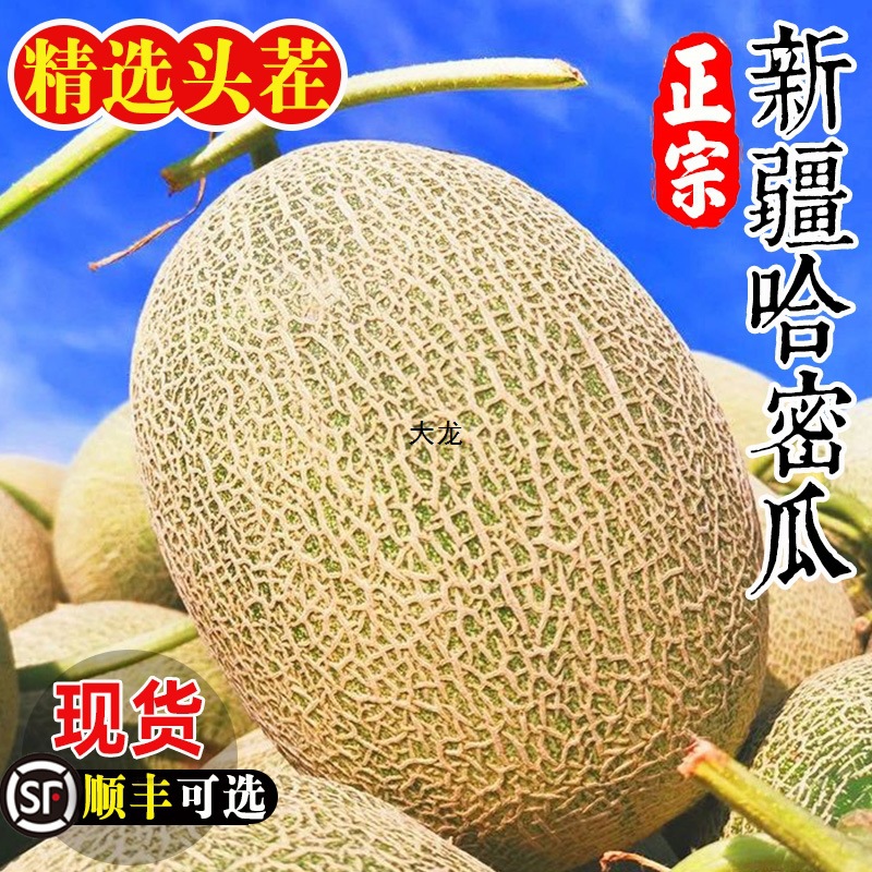 Xinjiang Hami Melon Fresh Fruit Box Full Box Seasonal Turpan Xizhou Honey Melon 4kg Large Pack