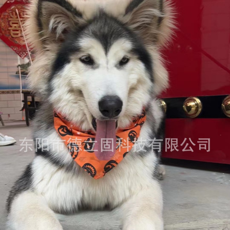 Pet Halloween Pumpkin Triangle Scarf Pet Clothes Pet Saliva Scarf Dog Saliva Scarf Cat Scarf