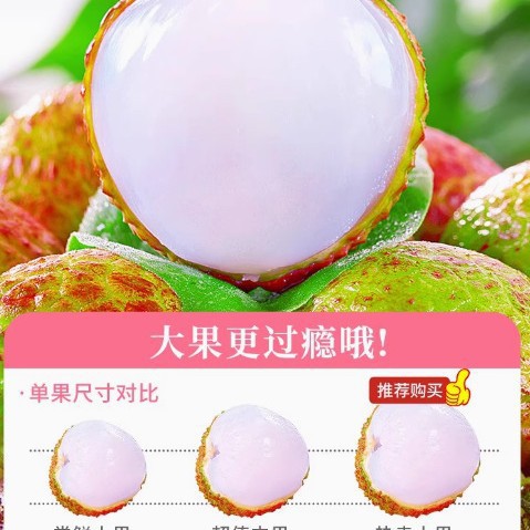 Fresh Seasonal Lychees from Hainan Feizi Xiaoxiao, Hand-Picked, Super Sweet, Large Fruit from Old Trees, Sf Express Free Shipping for a Whole Box