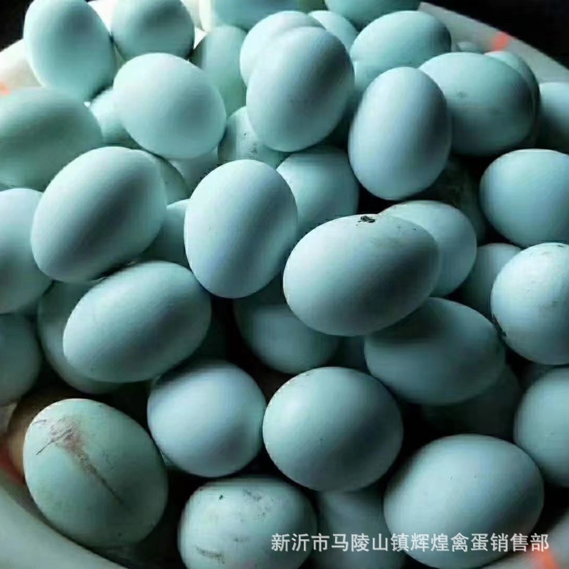 Wholesale Fresh First-Laid Eggs, Green-Shelled Eggs, First-Laid Eggs, Open-Laid Eggs, Green-Shelled Black Eggs, Open-Laid Eggs, Small Size