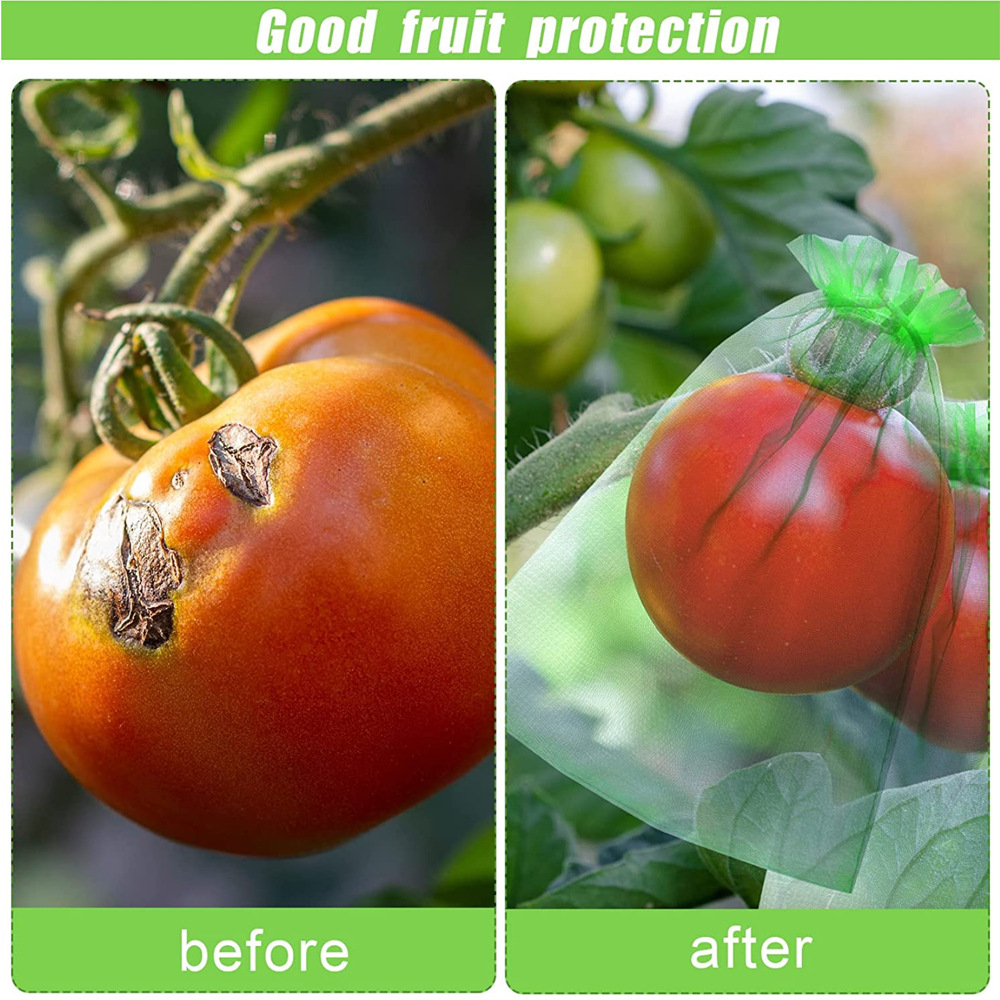 Cross-Border Fruit Protection Bag Grape Fruit Insect-Proof Mesh Bag Seed Bag Organza