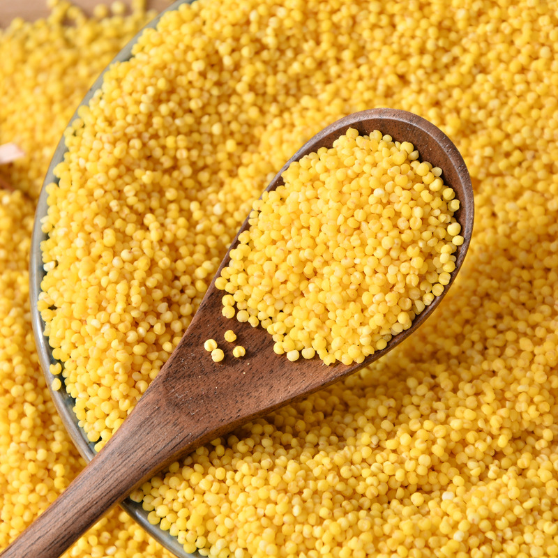 Inner Mongolia Chifeng Aohan District Huanggong Millet New Rice Fragrant Soft Glutinous Breakfast Porridge Rice Whole Grains Coarse Grains