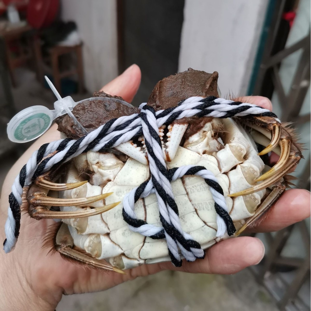 Live Hairy Crabs in Stock, Fresh Whole Female and Male Crabs in Gift Boxes, Shipped Via Sf Express with Free Delivery