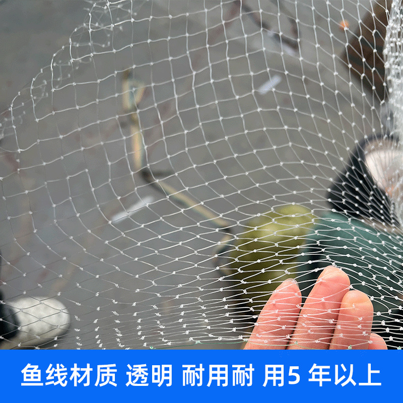 1 cm 1.0 Mesh Bird-Proof Net for Cherry Orchards, Greenhouses, Grapes, Loaches, Pear Trees, and Fruit Trees
