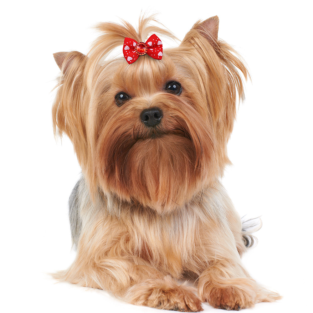 Pet Supplies Pet Bow Rubber Band Hair Band Dog Head Flower Hair Rope Headdress Dog and Cat Accessories in Stock