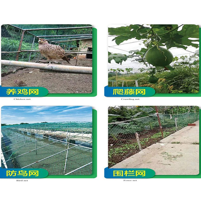 Chicken net nylon net Orchard bird-proof net poultry breeding net vine climbing net chicken top Net chicken vegetable garden court Net