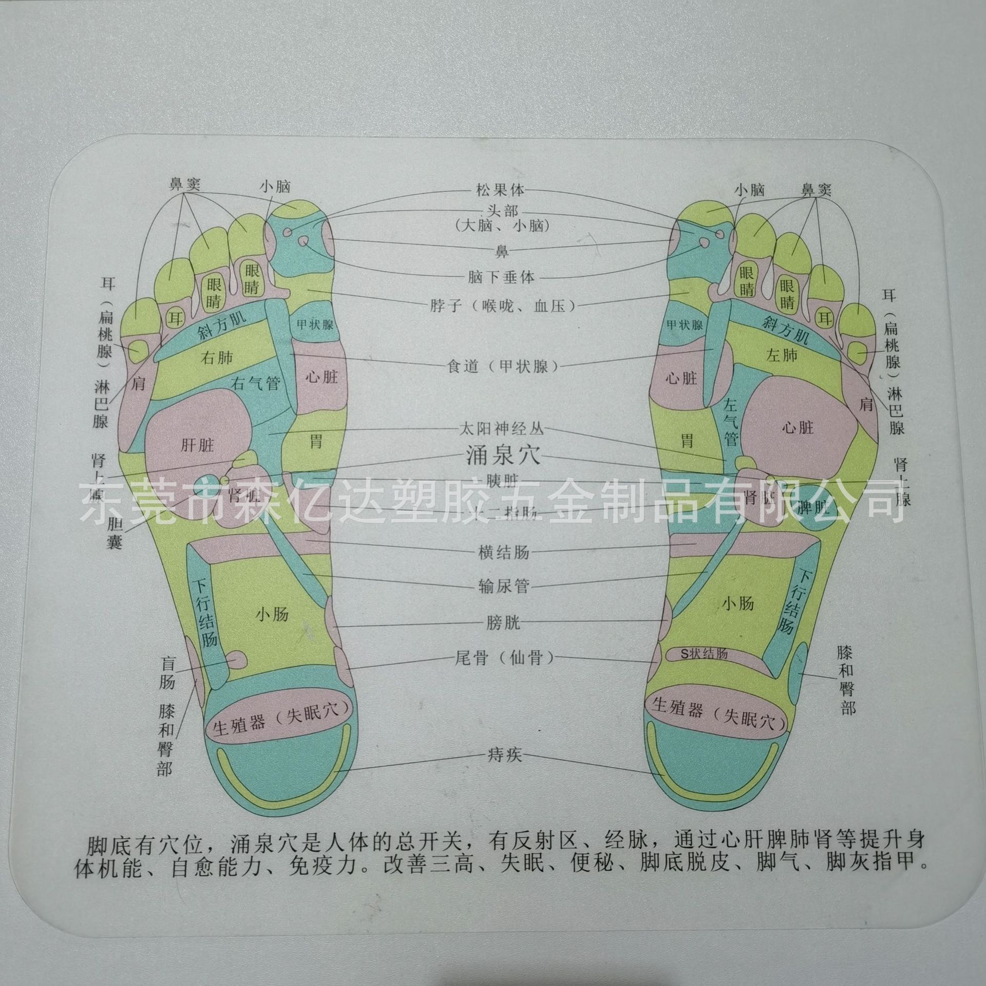 Translucent Pp Frosted Sheet Pp White Roll Luggage Lined Frosted Translucent Film Printing