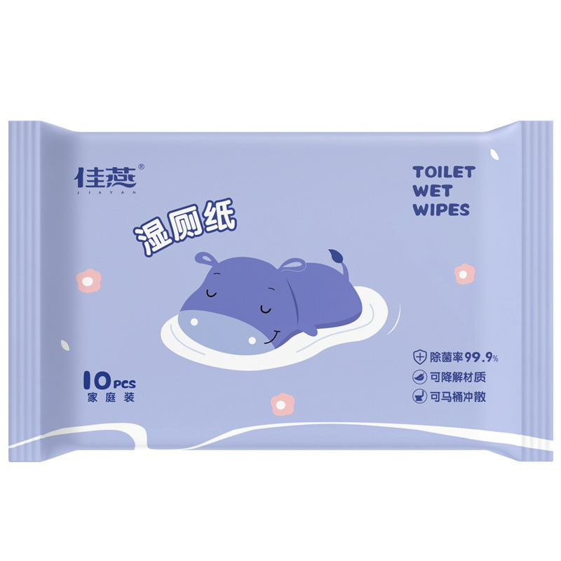 Wet Toilet Paper for Home Use, Flushable, Portable Small Pack of 10 Individual Packs, Disposable Butt Wipes, Biodegradable Wet Toilet Wipes