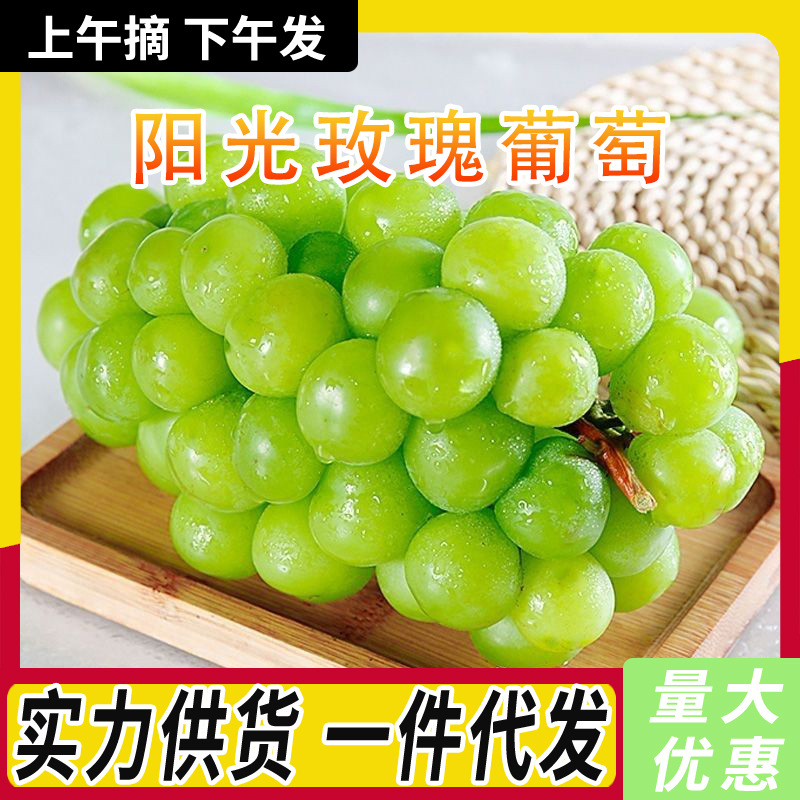 Виноград солнечных роз Шэньси в сезоне, свежесобранные и немедленно отправленные. Свежие фрукты, Цинван целые гроздья, зеленый виноград, оптовая коробка