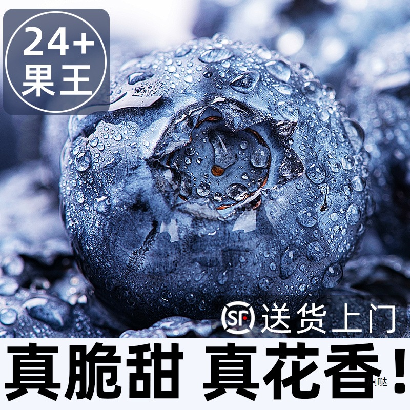 Blueberry Fresh Fruit Blueberry Fresh lL25 Flower Fragrance Non-Yunnan Blueberry High-end Fruit Blueplum Gaoshan Yike Shunfeng