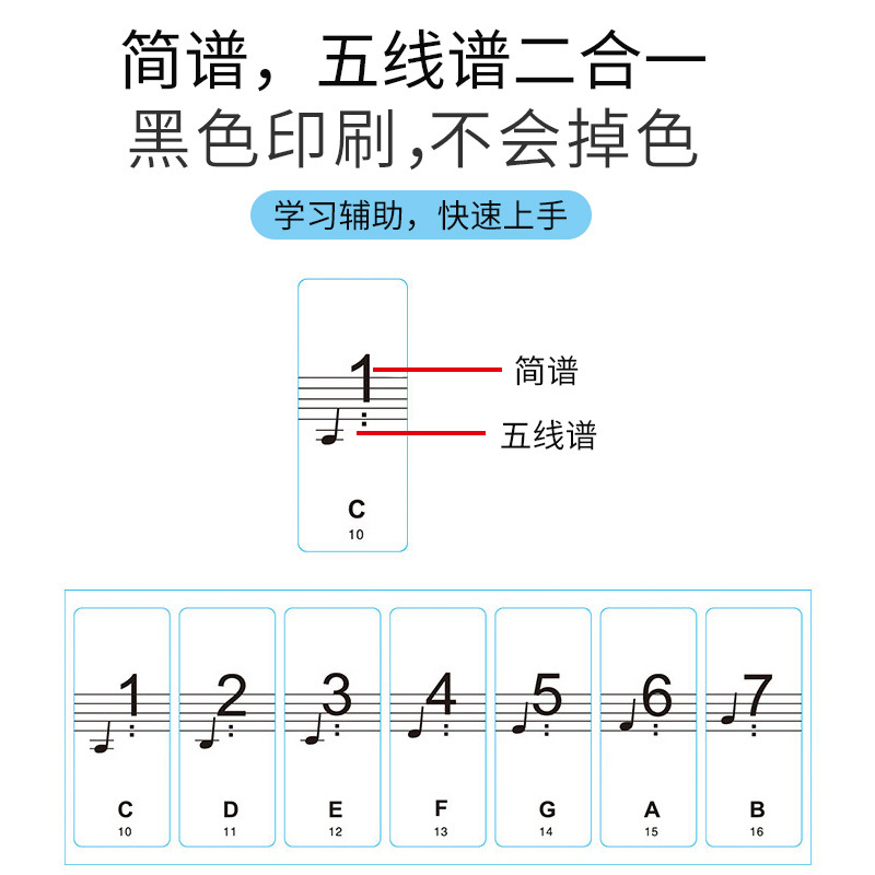 Piano Sticker 88-Key Transparent 61/54 Digital Keyboard Keyboard Sticker Phonetic Symbol Sticker Note Five-Line Simple Notation Free of Stick for Beginners