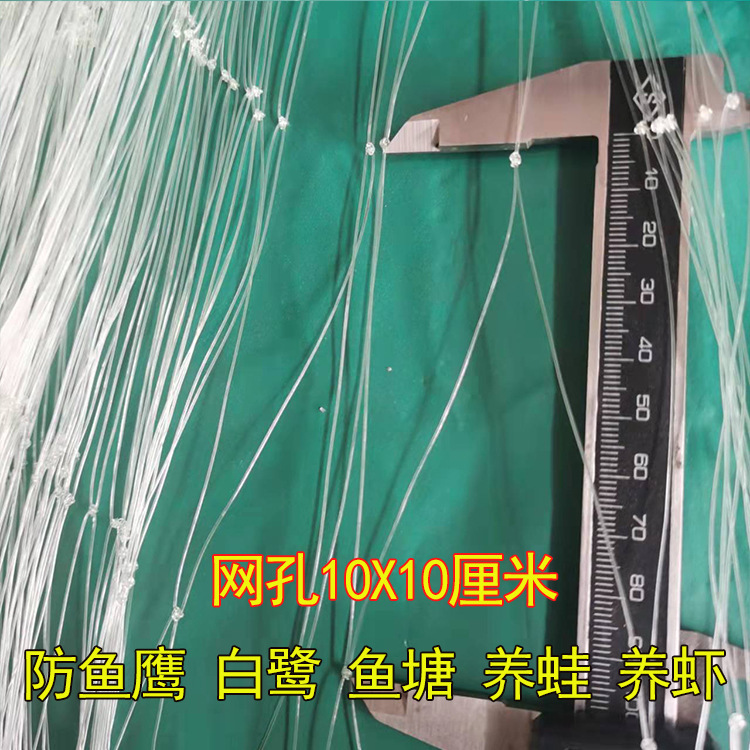 Сетка от птиц 10 см для прудов, разведение лягушек и креветок, противостояние цаплям и орлам, антисетевой сетка