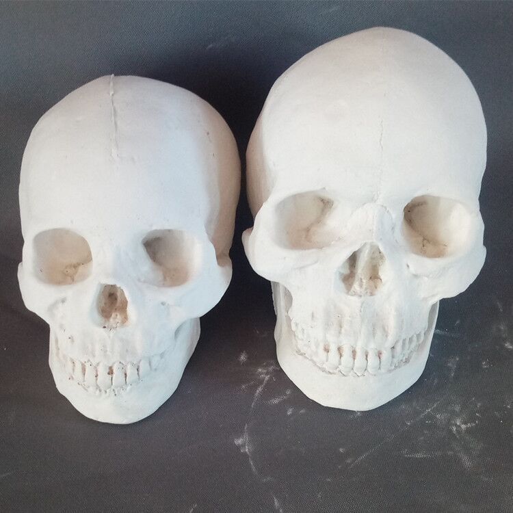 Gypsum geometry 16 sets of still life painting teaching aids for human facial features hands and feet gypsum image factory direct supply