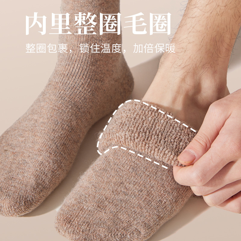Men's Wool Socks, Thickened Terry Loop, Fleece-Lined, Mid-Length, 2025 New Popular Model, Wholesale from Zhuji Source Factory