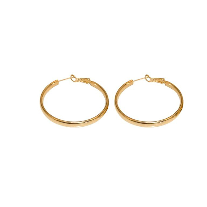 French-Style Metal Hoop Earrings 2025 New Model for Women, Trending on Tiktok, Unique and Elegant Earrings Wholesale