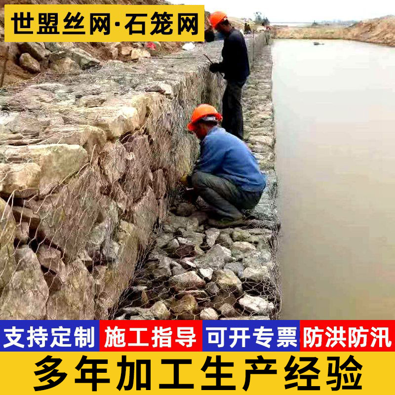 Hot-Dip Galvanized Plain Mesh Gorvin Lead Wire Cage River Flood Prevention Slope Guard Reno Pad Greenbin Pad Stone Cage Mesh Manufacturer