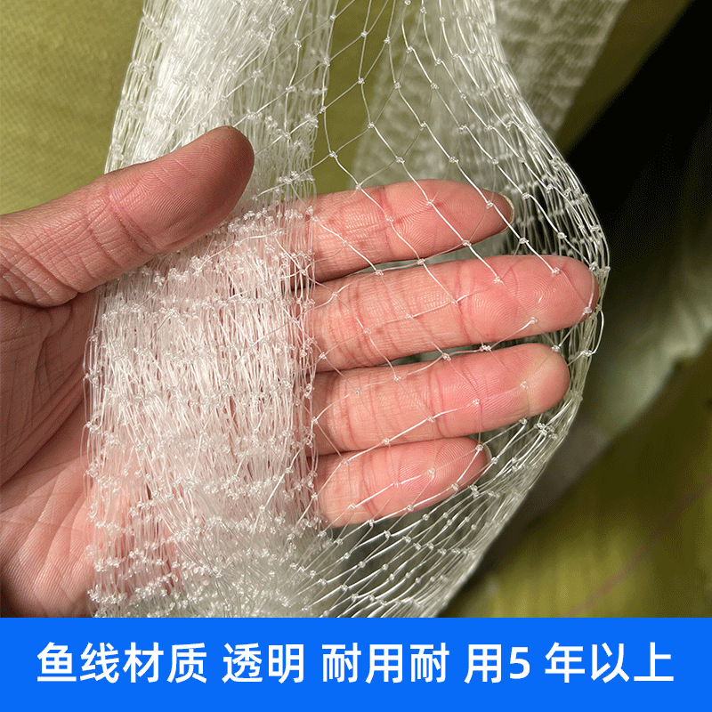 Сетка от птиц 1 см 1.0 для вишневых садов, теплиц, винограда, лягушек, груш и фруктовых деревьев