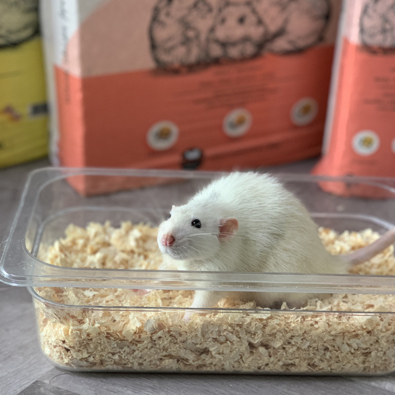 Emily Hamster Wood Shavings Wholesale, Low Dust, Easy to Clean, Suitable for Small Animals, 1kg Pine/Birch Wood, Suitable for Small Pets