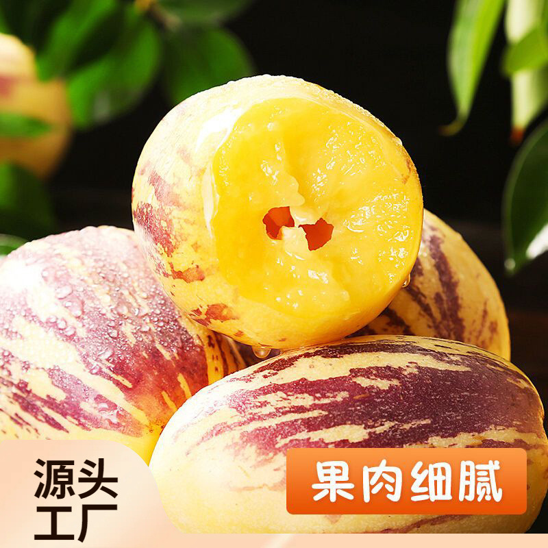 Seasonal Yellow-Fleshed Large Fresh Fruits of Gansu Minqin Desert Ginseng Fruit, Whole Box of 5kg Long Fruits with Free Shipping