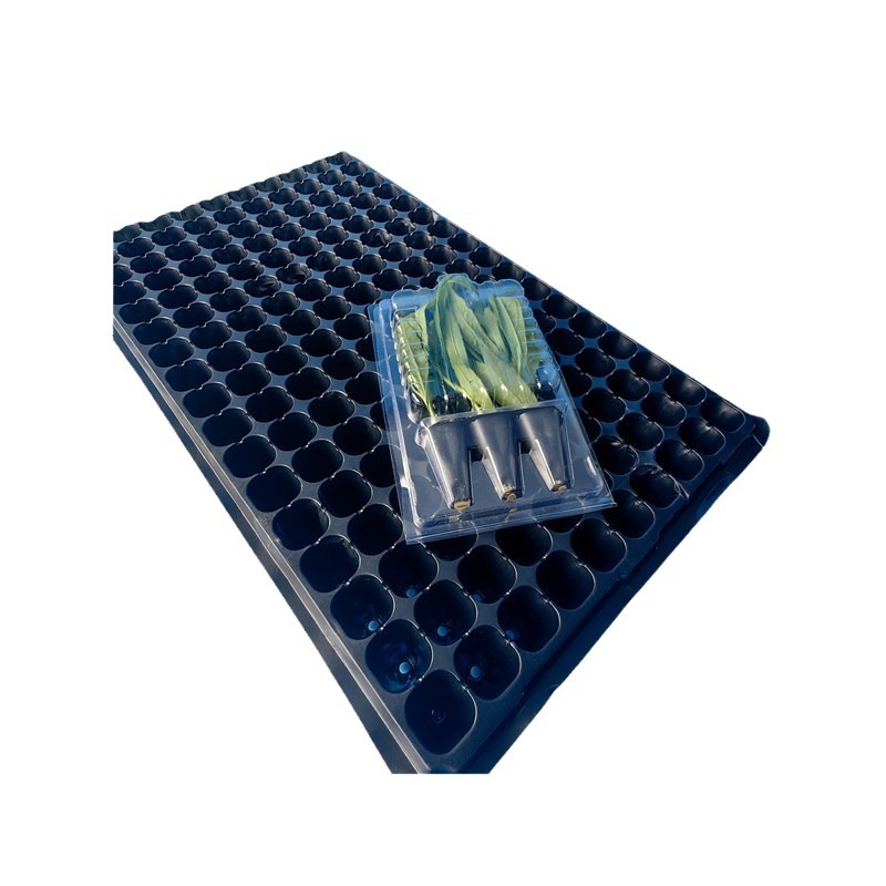 Seedling potted transport box flower seedlings pet blister bubble shell packaging box manufacturers wholesale flower seedlings transport packaging box