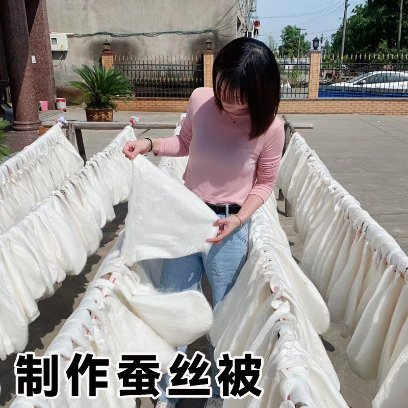 Farmhouse Natural Silkworm Cocoons Are Complete and Can Be Spun into Quilts and Fans. DIY Double Palace Dry Silkworm Cocoons Are Used for Medicinal Beauty and Drying