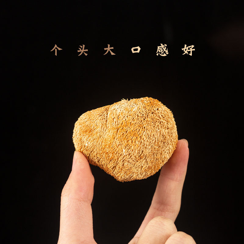 Yunnan specialty dry goods Hericium erinaceus origin wholesale small and large edible mushroom 0.50kg a bag of large favorably delicious